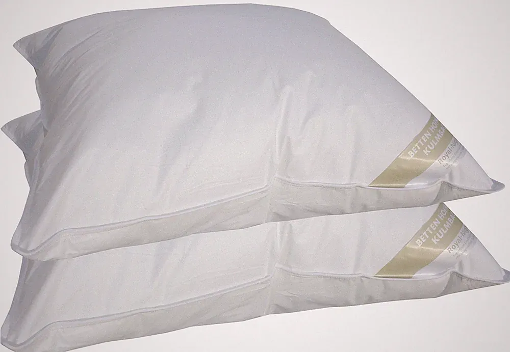 2 Stück Betten Hofmann Basic Allergiker Kopfkissen Polster 60x70 cm prall 600 g