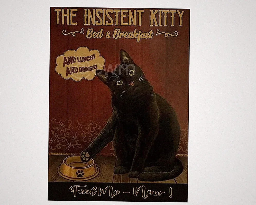 BED & BREAKFAST KATZENSCHILD Retro Blechschild GESCHENK KÜCHE SCHUPPEN GARAGE A4
