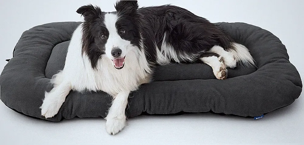 BEDSURE waschbar Hundekissen für Grosse Hunde - dünne Hundebette mittelgroße un