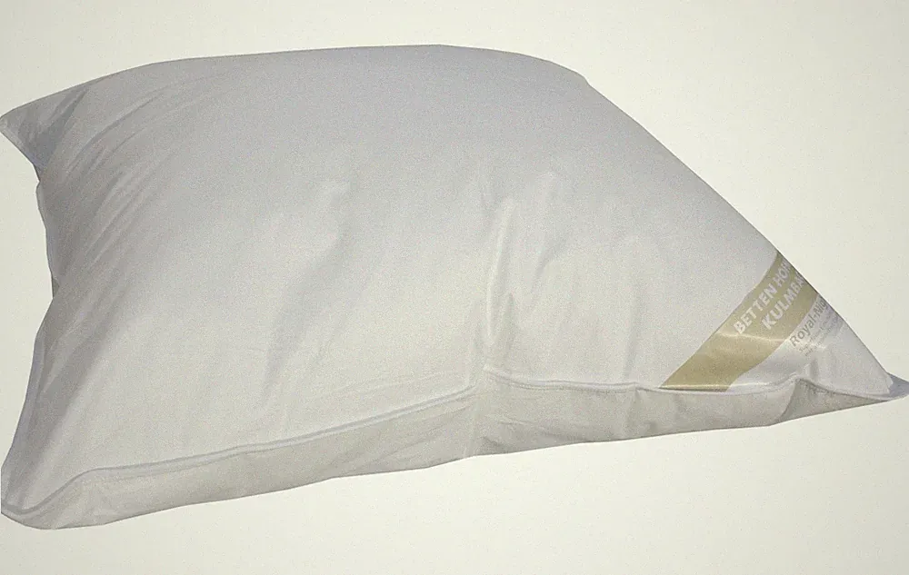 Betten Hofmann Basic Allergiker Kopfkissen Polster 60x70 cm hypoallergen 600 g