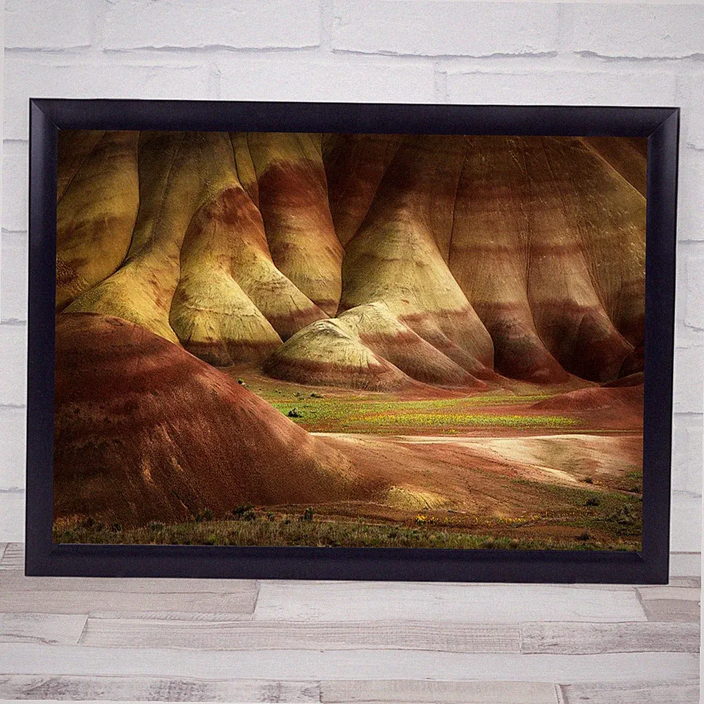 Bienenpflanze Oregon US Panorama bemalt Hügel Tag Fossil Beete Berg Druck