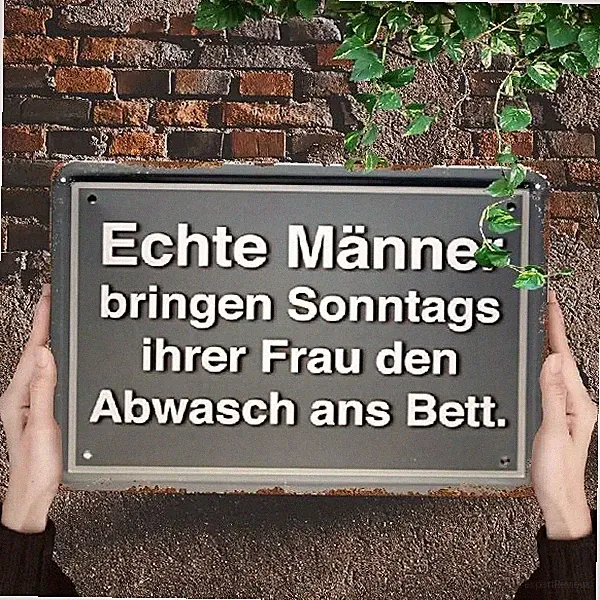 Blechschild Echte Männer bringen Frau Abwasch ans Bett Metallschild TEL2891