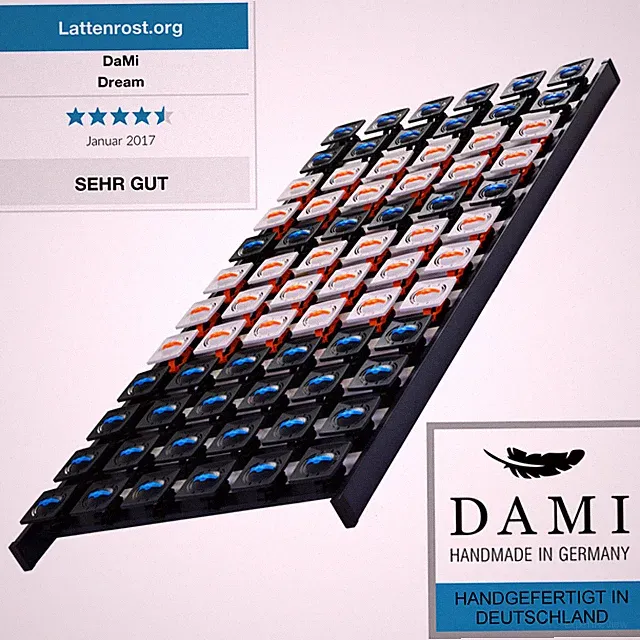 DaMi Dream Lattenrost Tellerlattenrost Lattenrahmen für Bettgestell Bett Rahmen