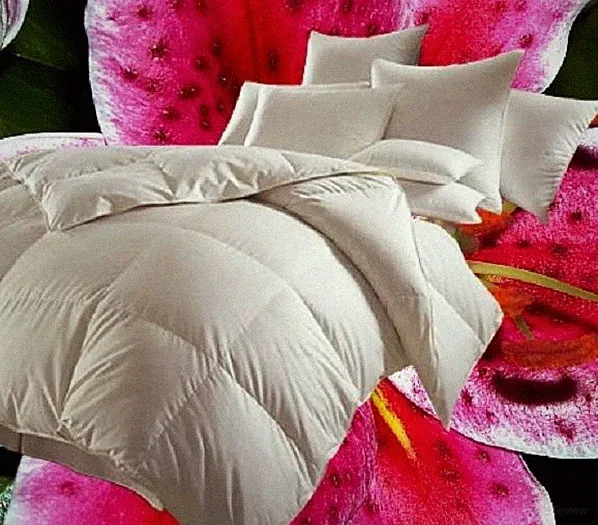 Hofmann Canada Kassetten Daunenbett 4x6 135x200 1000 g Daunendecke 100% Daunen