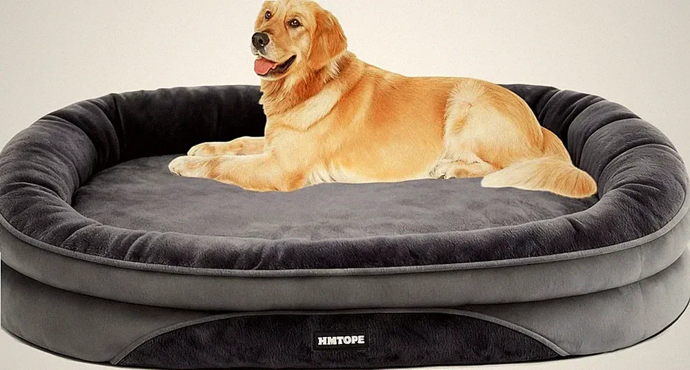 Hundebett Orthopädisch Samt Waschbar 106x79x17cm Dunkelgrau Mittel Grosse Hunde