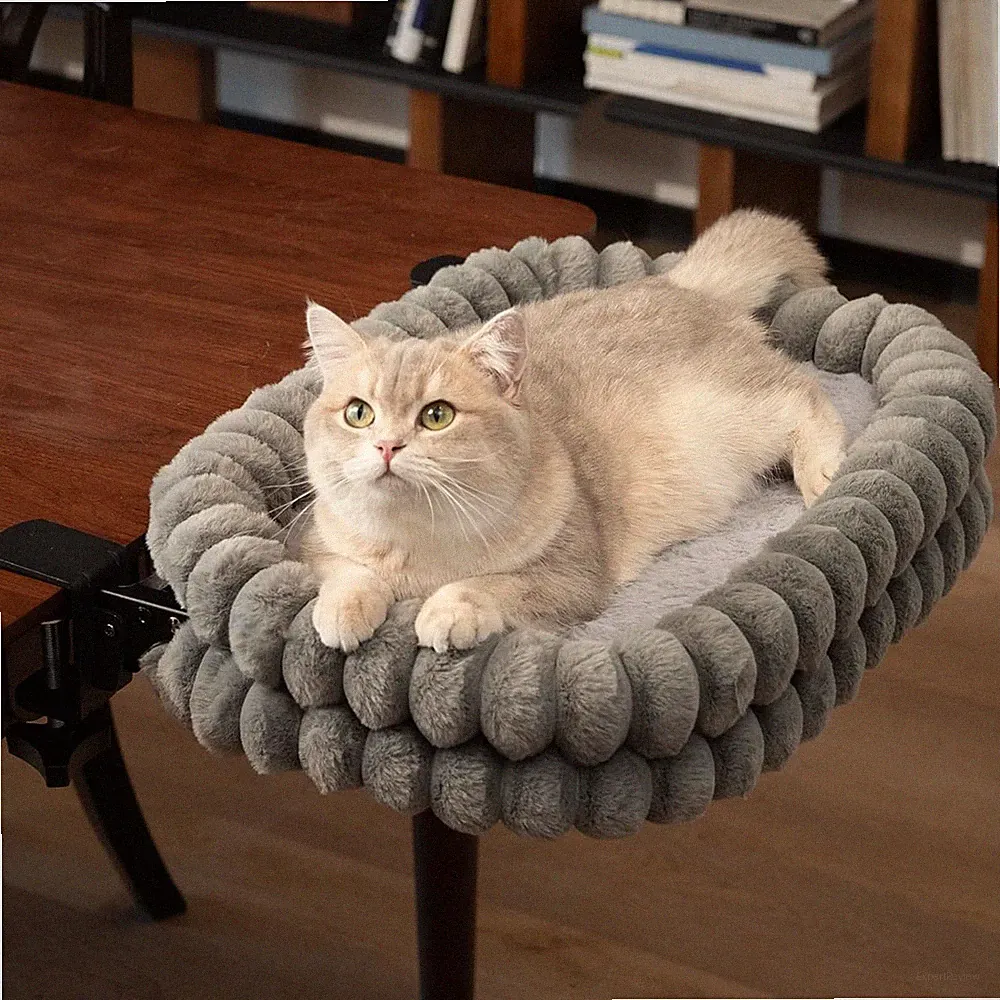 Katzenliege schreibtisch 2-in-1 klappbar platzsparend stabil für kleine Katzen