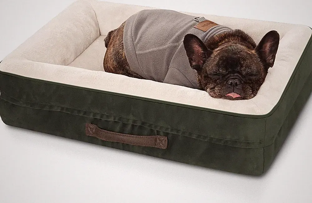Orthopädisches Hundebett mittelgroß mit wasserdichtem Bezug, rutschfest und wasc