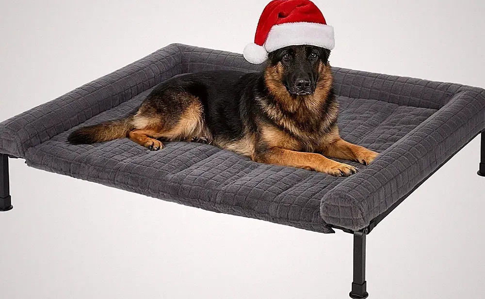 Veehoo Hundeliege XL 114x86x20 cm Grau mit abnehmbarem Polster, rutschfest