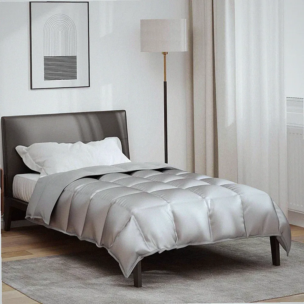 Winter Bettdecke Silber 135x200 cm Satin Mikrofaser Gesteppt Hypoallergen Wärme
